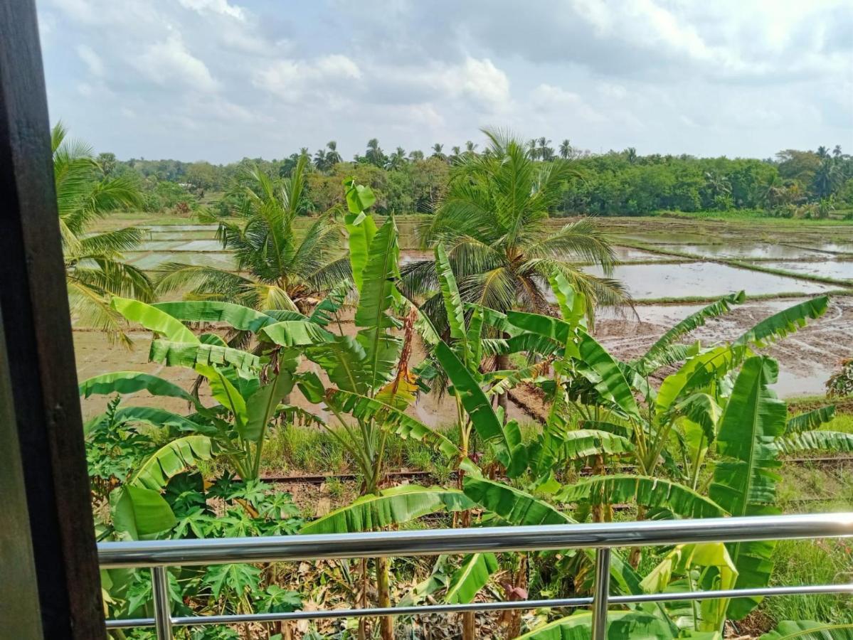 Freedom Of Green Rice View Anuradhapura Exteriör bild