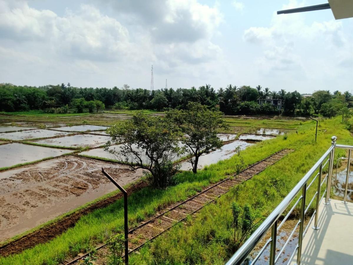 Freedom Of Green Rice View Anuradhapura Exteriör bild
