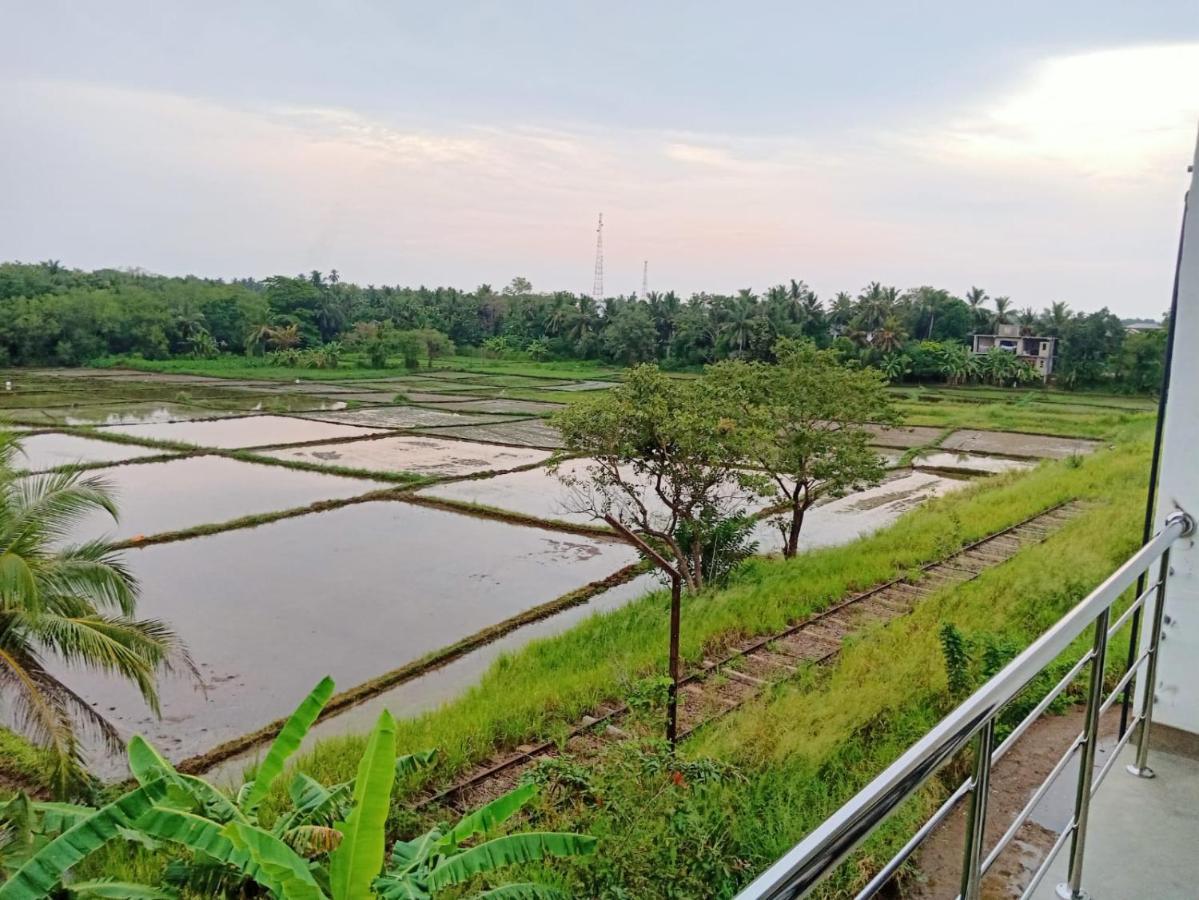 Freedom Of Green Rice View Anuradhapura Exteriör bild