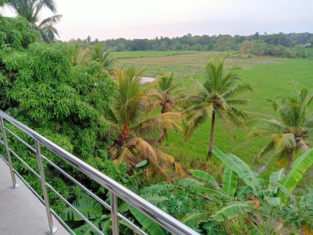 Freedom Of Green Rice View Anuradhapura Exteriör bild